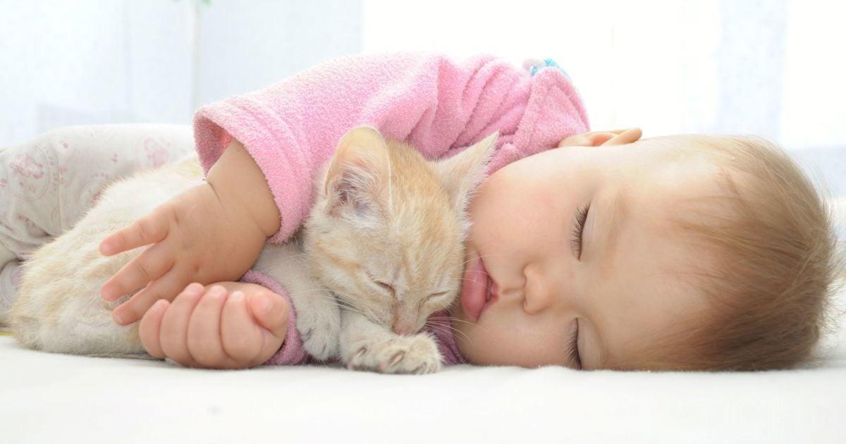 немовля спить