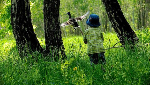 Прогулянка в лісі з дітьми
