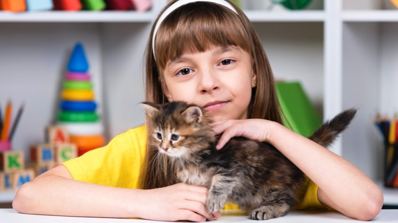 котик для дитини