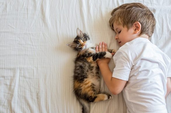 котик для дитини