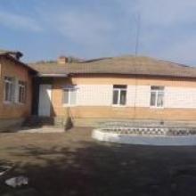 sadok-fastivets-barvinok-photo