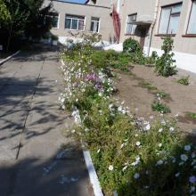 садо №2 "Буратіно" фото 1