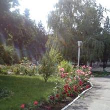 садок № 3 фото 1