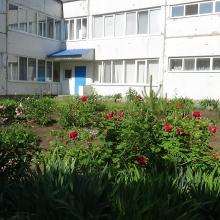 фото садок
