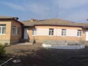 sadok-fastivets-barvinok-photo