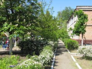 ДНЗ № 219 "Ведмедик" Дніпро фото