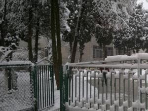 Левеня, навчально-реабілітаційний центр Львів фото