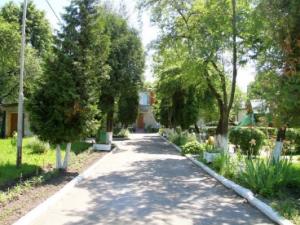 Дошкільний навчальний заклад №131 Білочка Львів фото