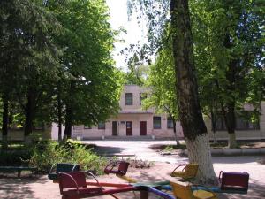 sadochok-sonyashnik-46-vinnitsya