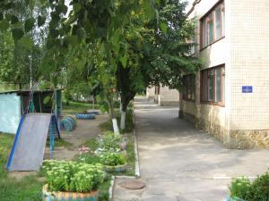 sadochok-vinnitsya-71-zolota-ribka-photo