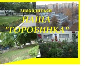 днз 43-1 фото