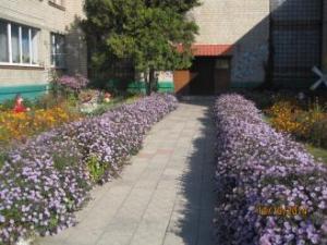1-1 фото