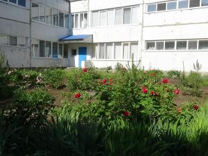 фото садок