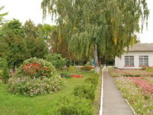 фото садок