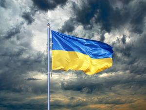 вірші за мир без війни