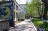sadochok-vinnitsya-23-berizka-photo