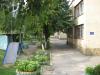 sadochok-vinnitsya-71-zolota-ribka-photo
