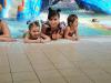 fotoroz7